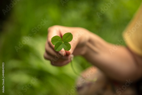 Fotografi Hand holding a lucky four leaf clover, good luck shamrock, or lucky charm found in a grass field surrounded by greenery and being picked by a woman showing her rare finding