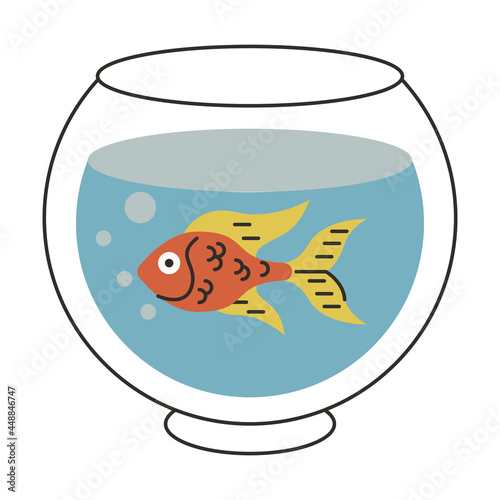aquarium with fish