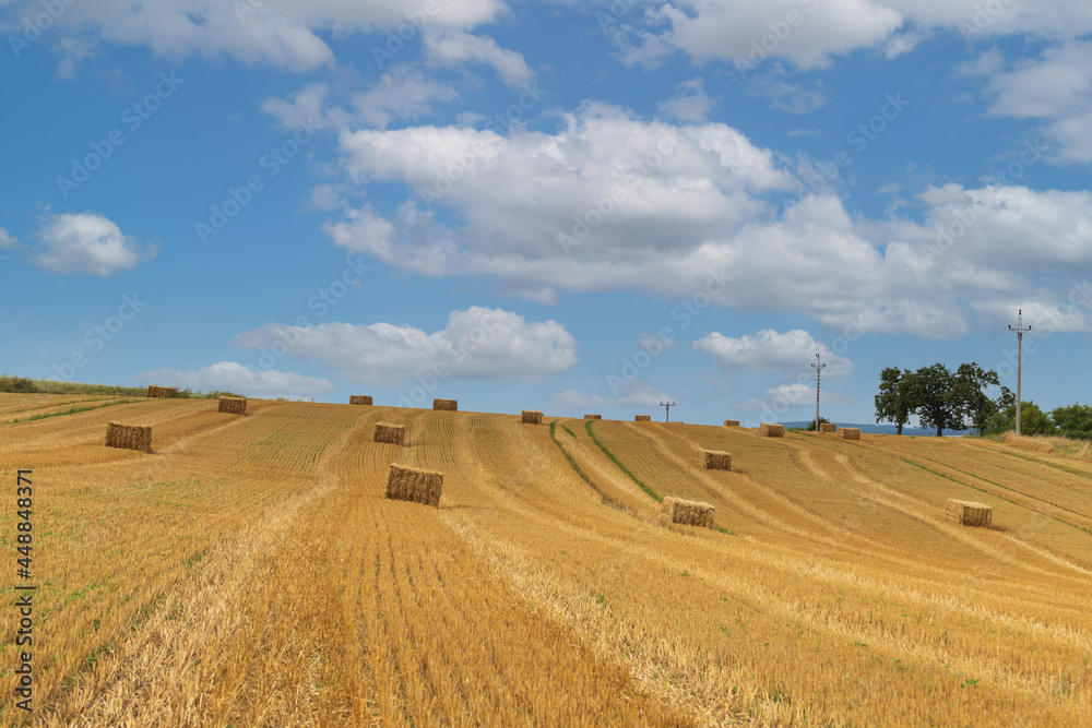 Straw bales in the field. The grain is cut. There are dramatic clouds in the sky.