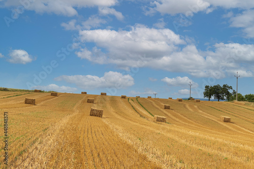 Straw bales in the field. The grain is cut. There are dramatic clouds in the sky.