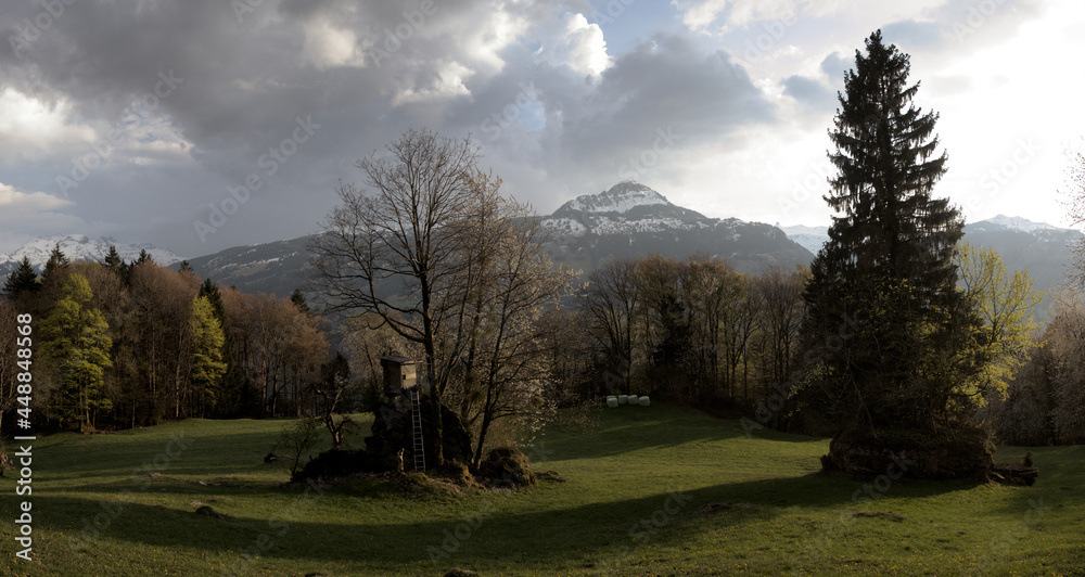 Meadows and woodland in the mountains around Walenstadt, Swiss Alps