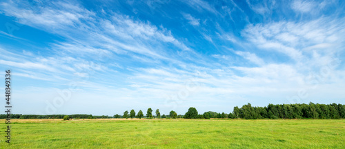 Beautiful summer day over green fields against blue cloudy sky - panorama