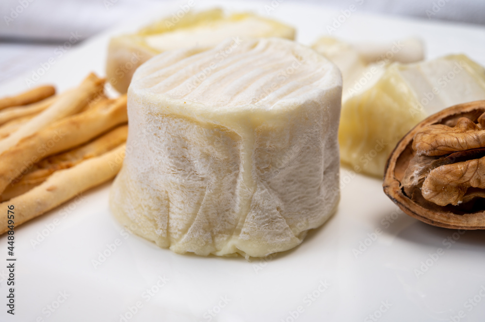 Cheese collection, soft goat French cheese with mold crottin de Chavignol produced in Loire Valley Cheese collection, soft goat French cheese with mold crottin de Chavignol produced in Loire Valley