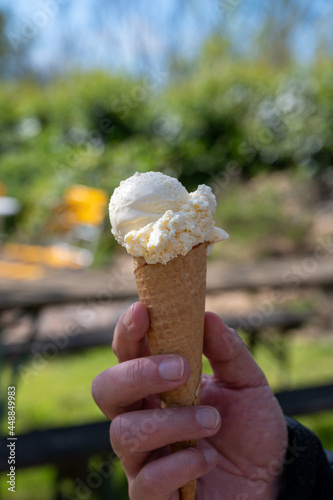 Eating of homemade honey ice cream on beekeeping farm in Zeeland, Netherlands