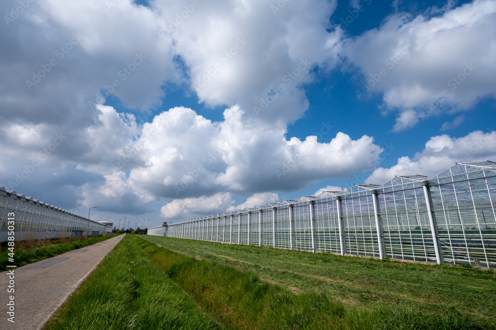 Agriculture in Netherlands, big glass greenhouses used for growing organic vegetables and fruits, Zeeland Agriculture in Netherlands, big glass greenhouses used for growing organic vegetables and fruits, Zeeland