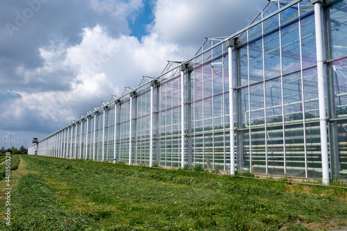 Agriculture in Netherlands, big glass greenhouses used for growing organic vegetables and fruits, Zeeland © barmalini