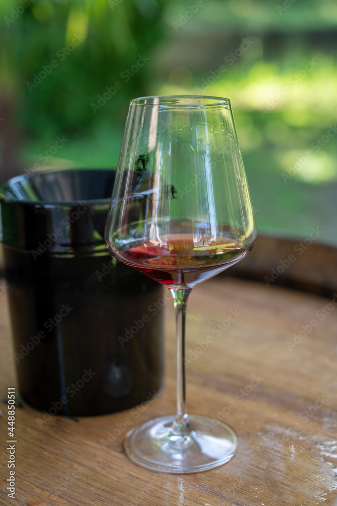 Tasting of dry burgundy red wine made from pinot noir  grapes, wine tourisme to Burgundy Cote de Nuits wine region, France