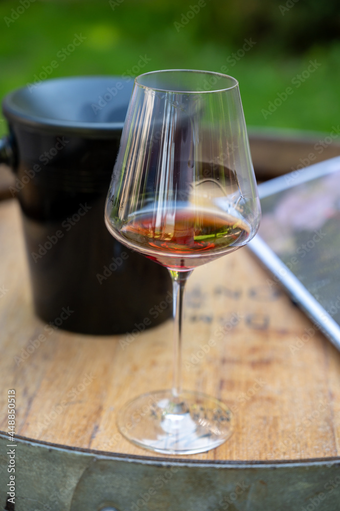 Tasting of dry burgundy red wine made from pinot noir grapes, wine tourisme to Burgundy Cote de Nuits wine region, France Tasting of dry burgundy red wine made from pinot noir grapes, wine tourisme to Burgundy Cote de Nuits wine region, France