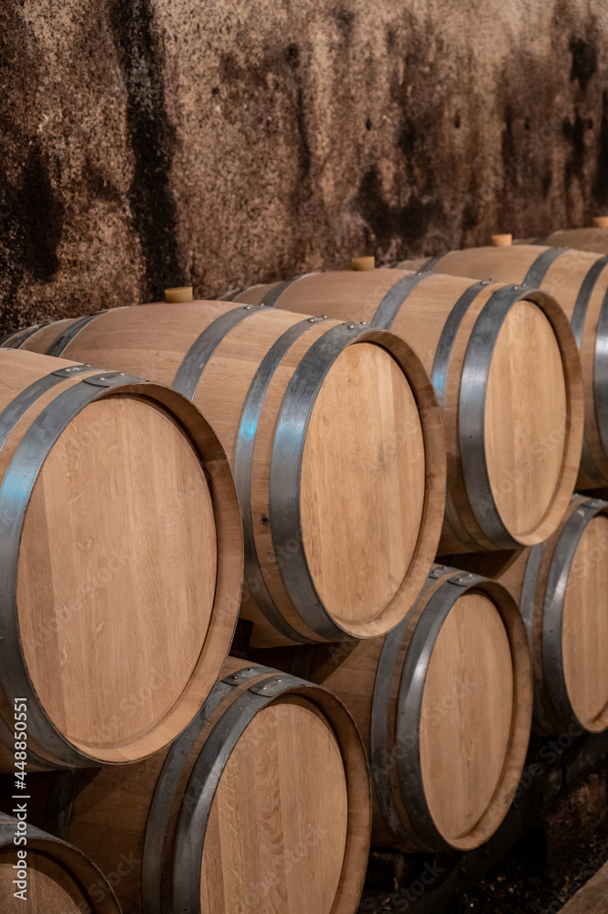 Keeping for years of dry red wine in new oak barrels in caves in Burgundy, made from pinot noir grape