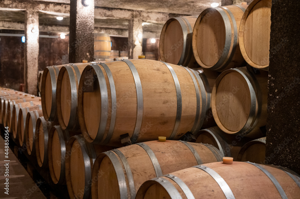 Keeping for years of dry red wine in new oak barrels in caves in Burgundy, made from pinot noir grape