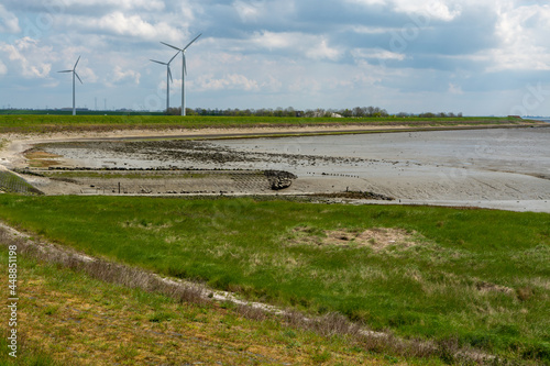 Panoramic view on sea coast in Zeeland  Netherlands  during low tide.