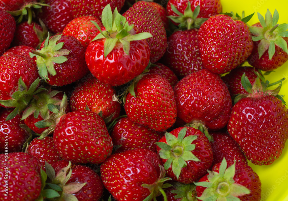 Red fresh ripe strawberries with green tails in yelloe bowl fruit background texture Red fresh ripe strawberries with green tails in yelloe bowl fruit background texture