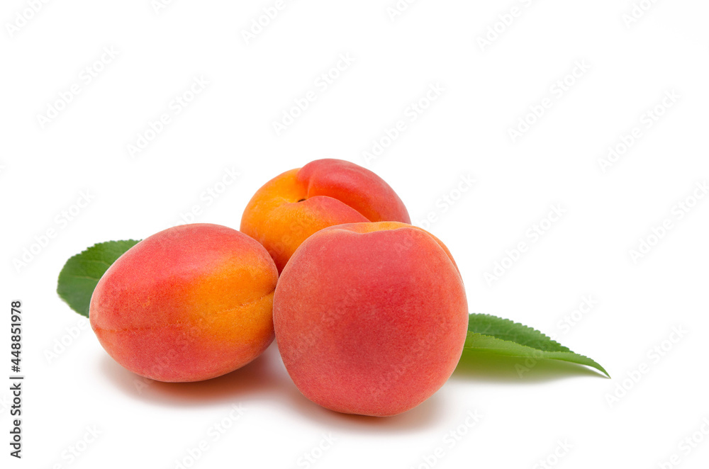 apricot fruit isolated on white background close up apricot fruit isolated on white background close up