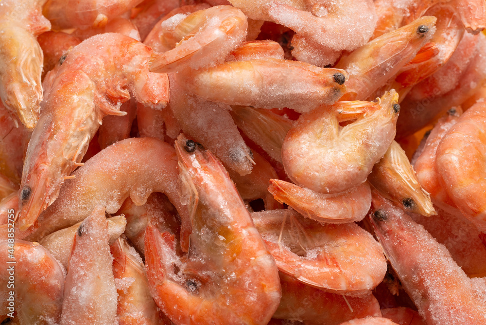 Fresh shrimps in ice. Top view.