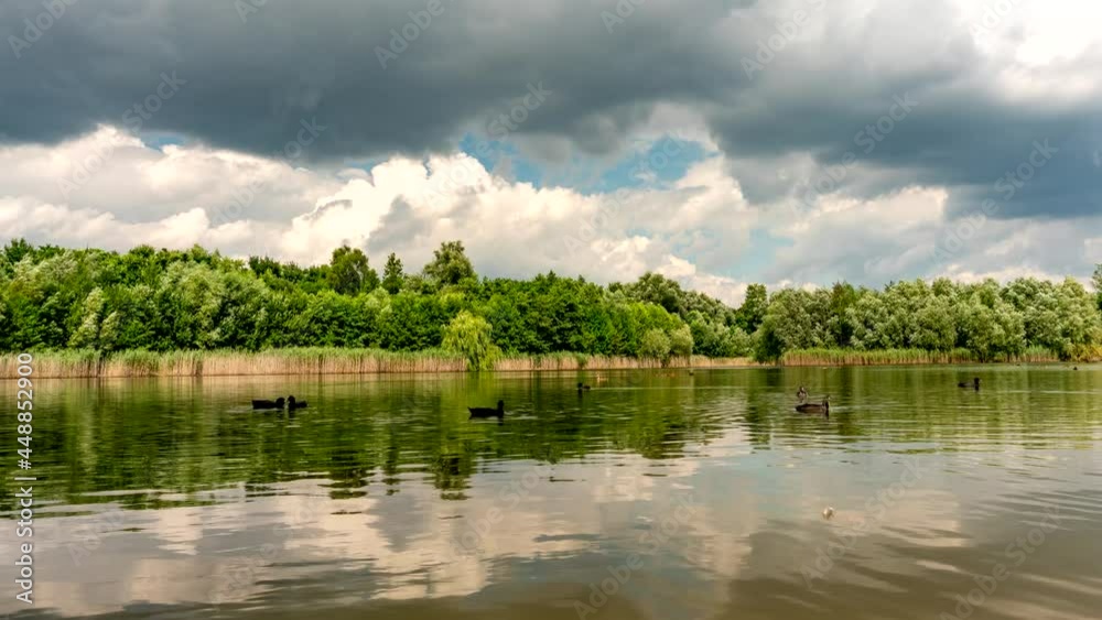 Green trees growing on shores of peaceful lake on sunny summer day in park. Green trees growing on shores of peaceful lake on sunny summer day in park.