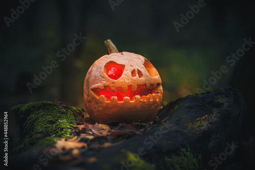 Glowing Jack O Lantern, with an evil face. Carved pumpkin for Halloween on fallen tree in a mysterious forest. Halloween evening gray background with place for text. Copy space