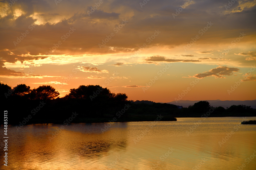 Naklejka premium Soirée dorée