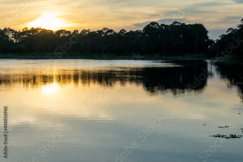 Exploring peaceful wetlands at sunset