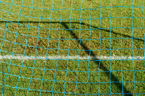 Caught in the Net 