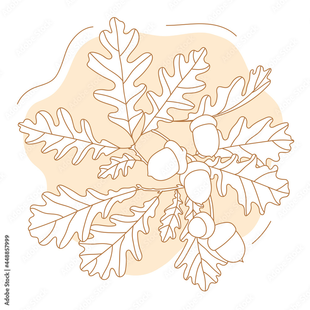 Composition of oak leaves. Autumn set of leaves and acorns. Outline vector image. Composition of oak leaves. Autumn set of leaves and acorns. Outline vector image.