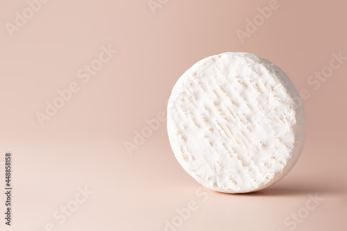 Cheese with white Camembert mold on a light pink background. Copy space. Place for text.