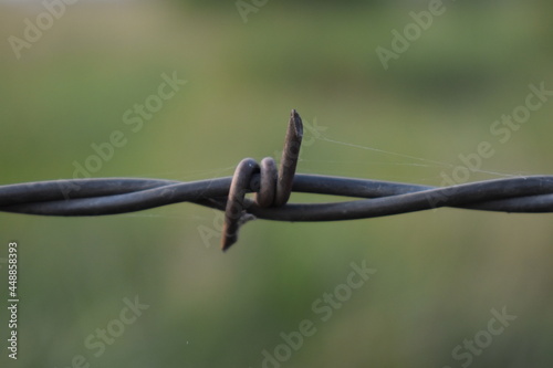 Barbed Wire