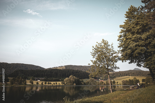 Trees in Skalsko jezero or Lake of Skale close to Velenje in the Saleska dolina region of Slovenia. photo