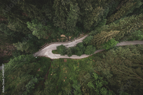 Above aerial drone view of a road winding through thick green forest. Magical drone shot of a road from above.
