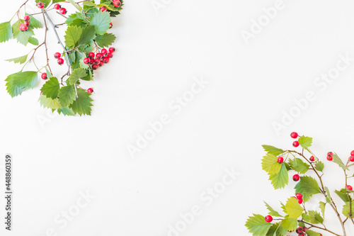 Flat lay frame with red berries and green leaves on white background