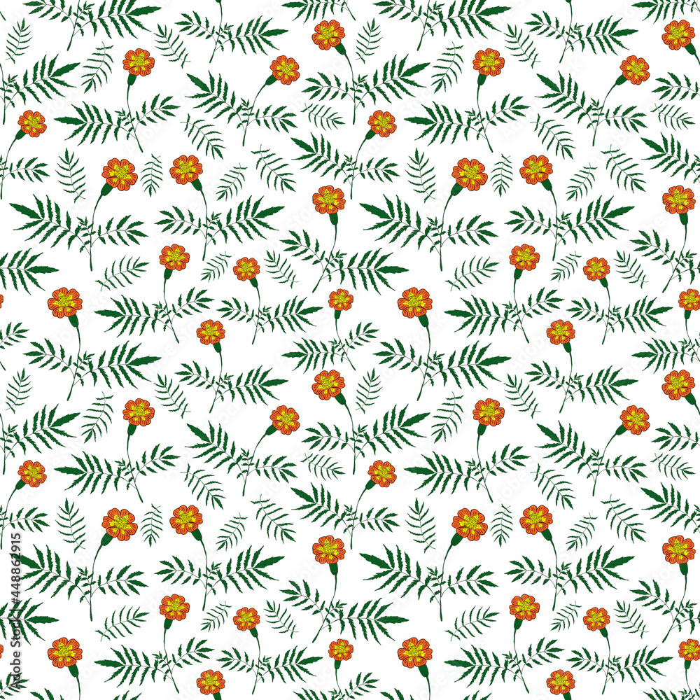 Obraz premium Seamless botanical light pattern with marigold flowers 