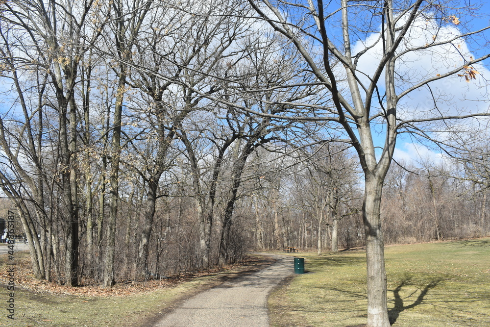 Como Park in Spring Time