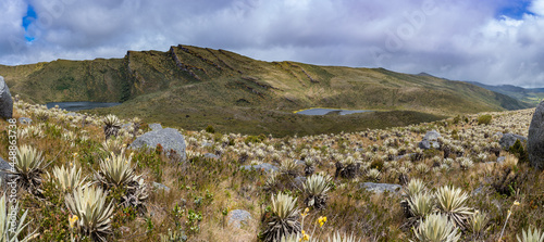 Panorama of Lagunas de Siecha, Páramo de Chingaza, Colombia. photo