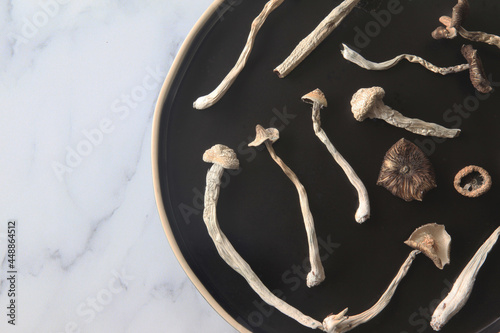 Psilocybin Mushrooms