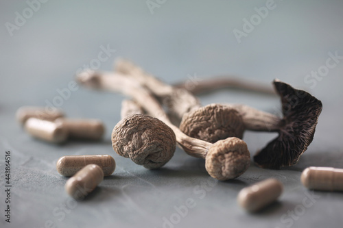 Psilocybin Mushrooms