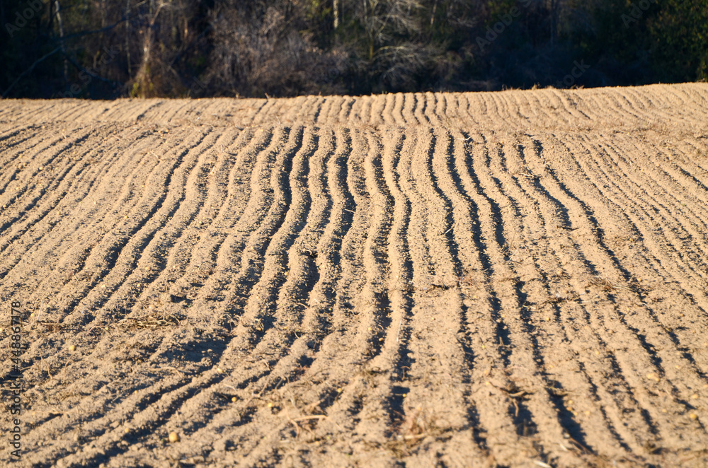 plowed field in the evening plowed field in the evening