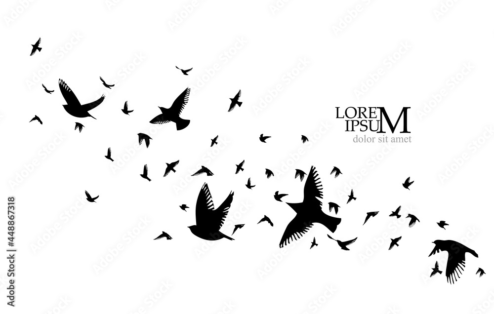 Fototapeta premium A flock of flying birds. Vector illustration
