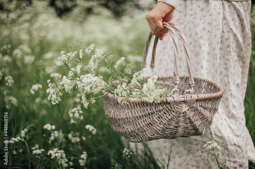 Woman carrying a basket of Cow Parsley.