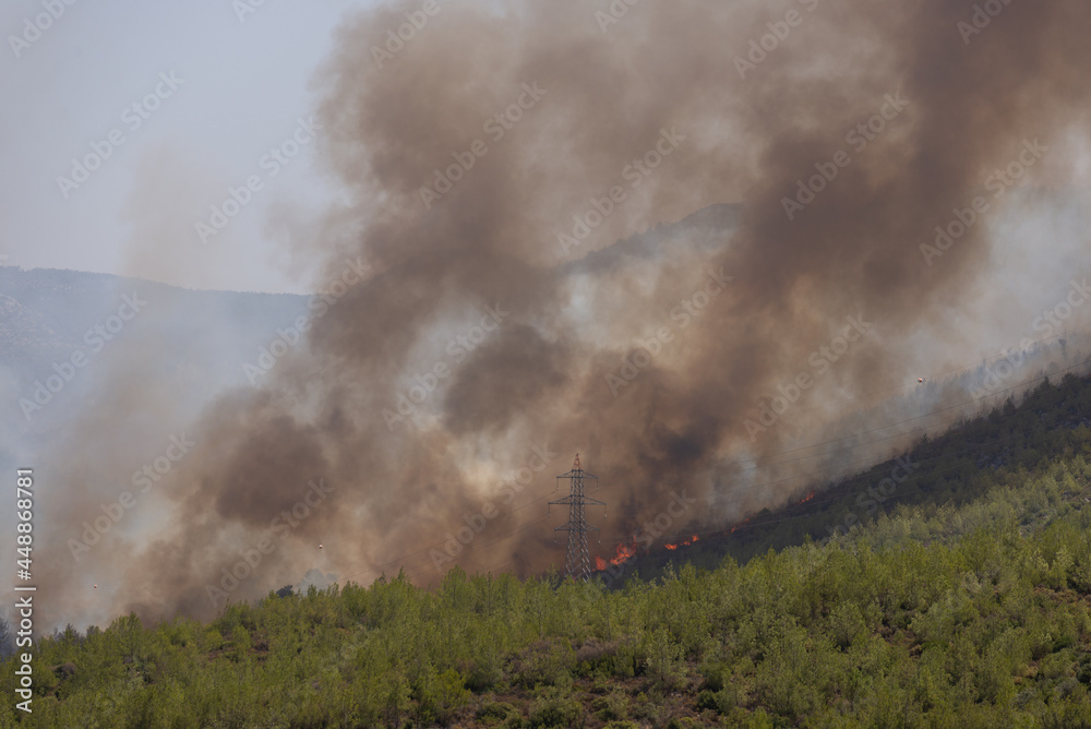 Forest fire at at Mugla Bodrum Turkey Summer 2021