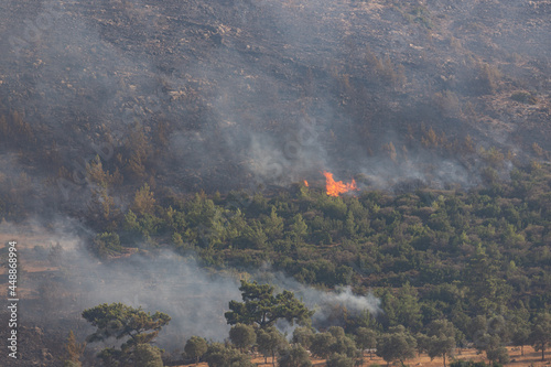 Active forest fire at Mugla Bodrum Turkey