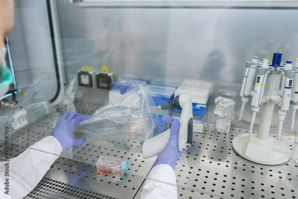 Researcher Working In The Lab Chamber Researcher Working In The Lab Chamber