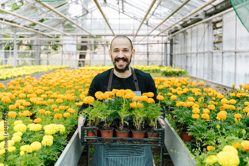 Young man working in greenhouse photo