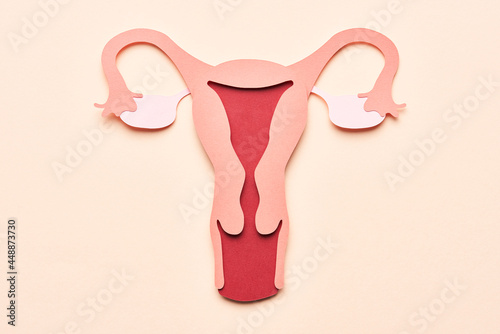 Female reproductive system illustration. photo