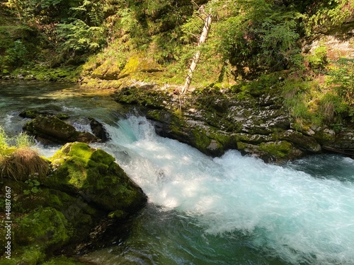 Mountain river Radovna in the Vintgar Gorge or Bled Gorge - Bled, Slovenia (Triglav National Park) - Bergfluss Radovna in der Vintgarklamm oder Vintgar Klamm - Bled, Slowenien (Triglav-Nationalpark)