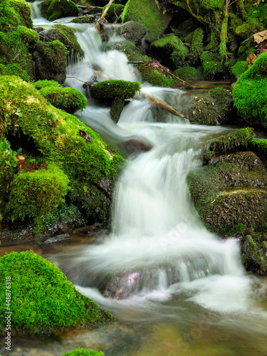 Water Fall Over the Moss Covered Boulders in the Smokey Mountains National Park