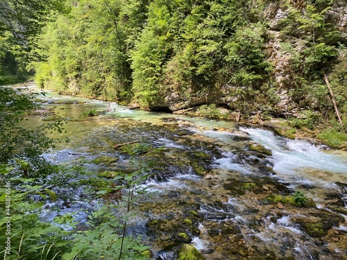 Mountain river Radovna in the Vintgar Gorge or Bled Gorge - Bled, Slovenia (Triglav National Park) - Bergfluss Radovna in der Vintgarklamm oder Vintgar Klamm - Bled, Slowenien (Triglav-Nationalpark) © Mario