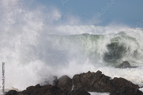 waves crashing on rocks Wellington Coastline New Zealand 