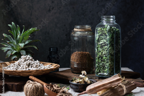 Still life of Dry Herbs from South India