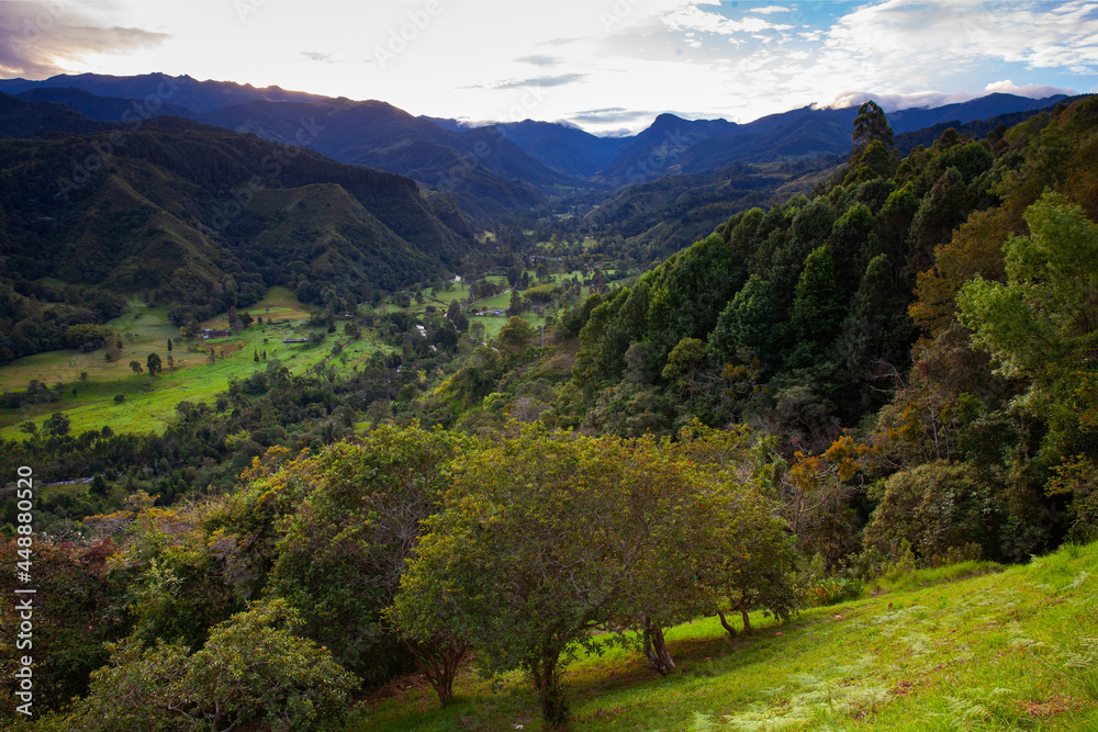 Beautiful view of the Cocora Valley at the Quindio region in Colombia Beautiful view of the Cocora Valley at the Quindio region in Colombia