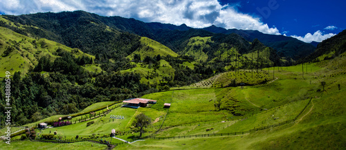 Beautiful panoramic view of the Cocora Valley at the Quindio region in Colombia