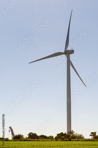 Landscape of energy efficient wind turbine at the countryside near Tarariras, Colonia photo